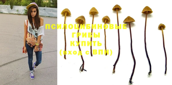 кристаллы Надым