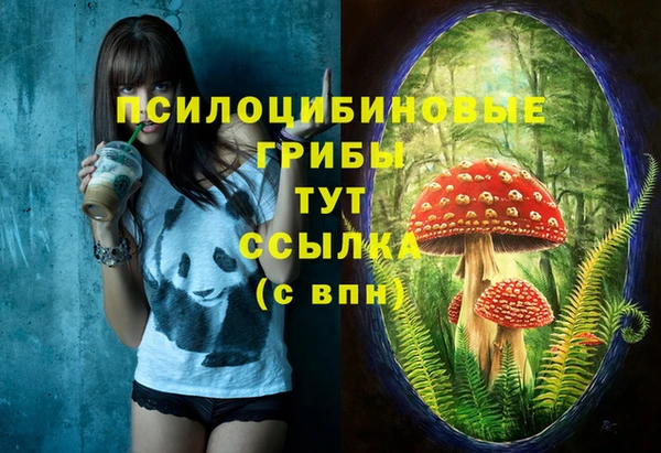 PSILOCYBIN Апатиты